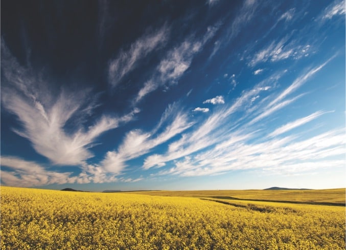 Featured image for “Home”